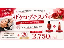 マイ スタイル 調布駅前店(My j Style)の雰囲気（【9月１０月限定頭皮ケア】ザクロプチスパ☆選べるホームケア付）