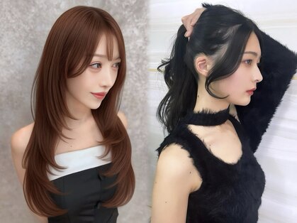 ラビス(Lovis)の写真