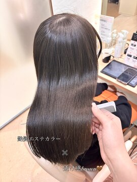 エレノア 目黒店(Eleanor) 艶髪エステカラー×透け感ブラウン