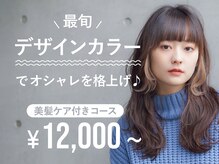 アメイジングヘアー 中沢店(AMAZING HAIR)の雰囲気（白髪ぼかしハイライト/インナーカラー/イヤリングカラー大好評◎）