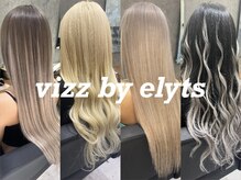 ヴィズバイエリーツ(vizz by elyts)