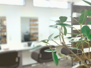 ロータス(LOTUS)の写真/≪近鉄四日市市駅徒歩3分≫落ち着く雰囲気のマンツーマンサロン♪ハイライトや脱白髪染めメニューが人気！