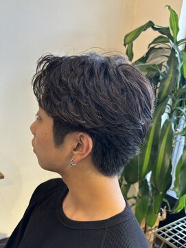 サンズ(suns) 【Shuyu】フェザーパーマ