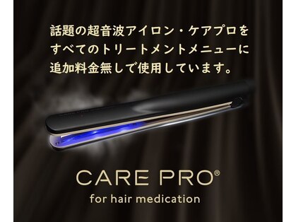 ミモザ(MIMOSA)の写真