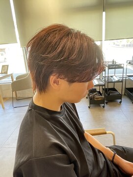 ヤテ(yate') フェザーショート