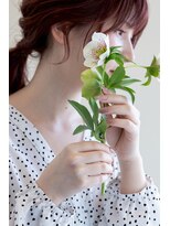 たさわ堂Aｍｏ&nbsp;顔まわりカット♪菊岡