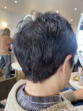 アンフィ 矢向(Anphi) 12-35 ショート