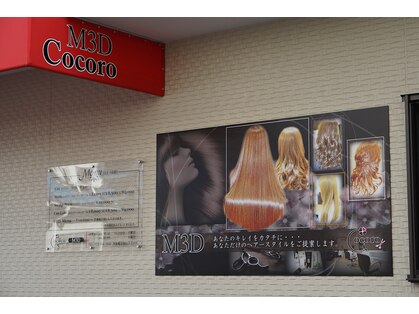 ココロ(Cocoro)の写真