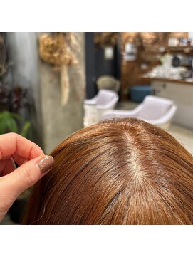 ランタン(LANTERN) ブリーチなしオレンジカラー