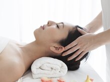 ゼルサプリ 北越谷(ZELE supple)
