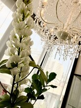 ルピナス(Lupinus)&nbsp;渡邊 直美