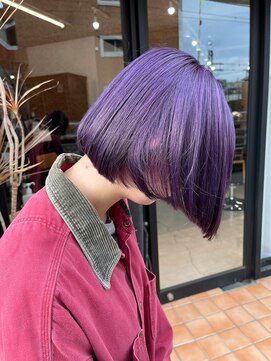 シスタ(SISTA) ダブルカラー/パープル/オージュア/ボブ