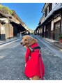 ヘアーサロン シム(hair salon Cime)&nbsp;愛犬のゴールデンレトリバー！