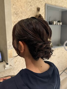 ヴィサージュプラス(VISAGE plus) シニヨンセット