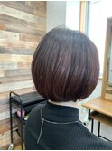 ミニボブ