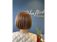 ブルーバード(Blue Bird)