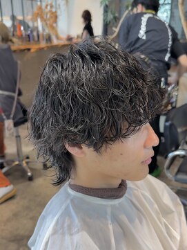 ハバナ 渋谷(HAVANA) メンズウルフ/ウルフパーマ/波巻きパーマ