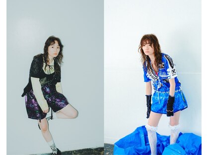 シツ(situ)の写真