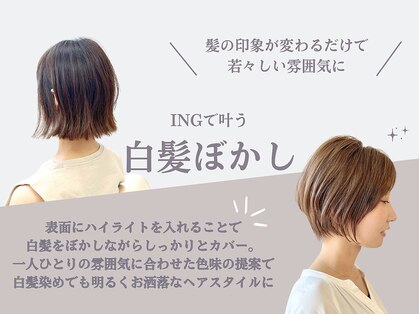 イング(ING)の写真