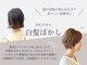 イング(ING)の写真