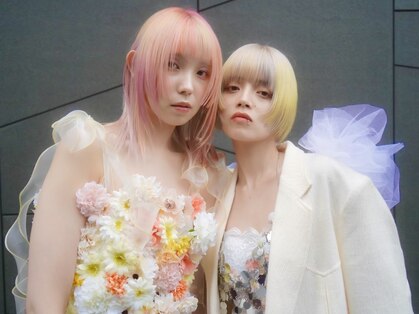 メゾン ノエラ(Maison Noella)の写真