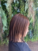 ノーブルヘアー(NOBLE HAIR) チョコブラウン