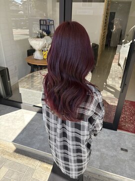 エボルブ(EVOLVE) ボルドーカラー