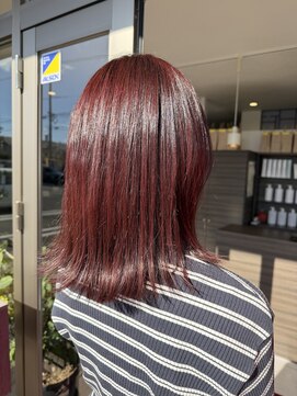 赤みがきれいに映えるボルドールビー