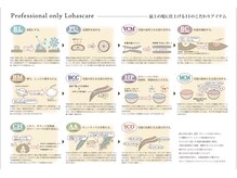 最上の髪に仕上げる11のプロフェッショナルシリーズのアイテムの詳細