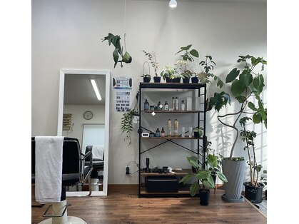 タロー(taro)の写真