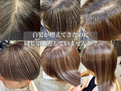 キセツ(ki se tsu)の写真
