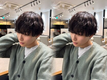 ソルバー(SOLVER)の写真
