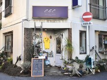 ccc カリフォルニアヘアー(ccc-california hair)