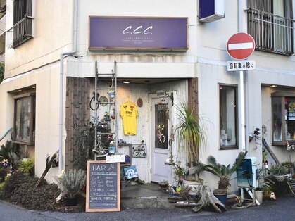 ccc カリフォルニアヘアー(ccc-california hair)の写真