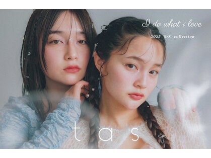 タス(tas)の写真