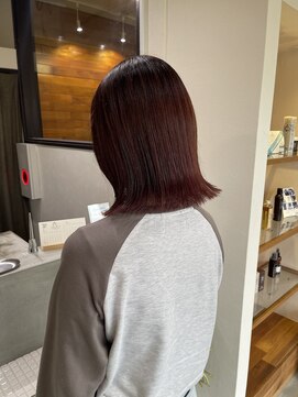 イロプラスソイ(iro + soi) red brown