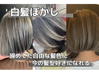 オリノ(olino)の写真
