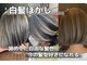 オリノ(olino)の写真