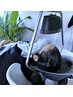 CHROAオープン記念【カット/頭浸浴(ヘッドバス)/極上ヘッドスパ】