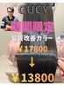【期間限定】GUCY特別価格!髪質改善カラー+カット¥17800→¥13800