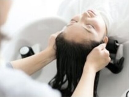 アイル(aisle)の写真