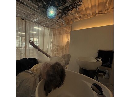 カーテル(KARTEL)の写真