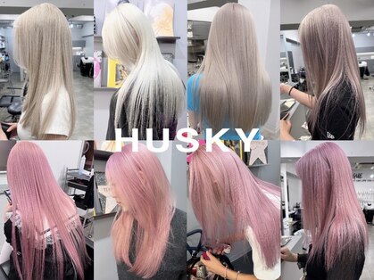 ハスキー(HUSKY)の写真