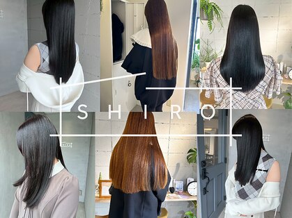 シロ(SHIRO)の写真