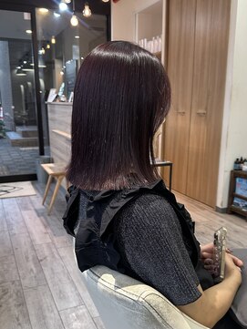 ギフト(GIFT) cassis lavender , medium cut