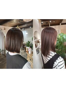 脱白髪染めの髪に、芯からうるおう極上ケアを