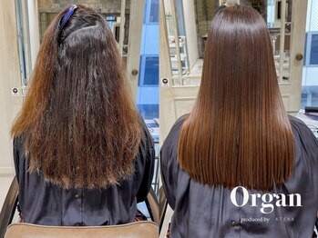 オルガン(Organ)の写真/【通町筋駅徒歩1分】真っすぐになりすぎないナチュラルストレートは[Organ]にお任せ◎憧れのうる艶髪へ＊