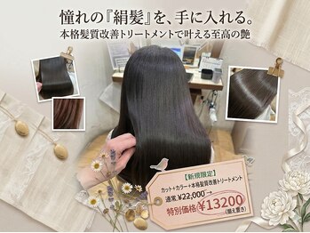 カラーサロンビスカリア 相模原エリア 淵野辺駅店(Color salon Biscaria)の写真/SNSで話題☆≪メテオトリートメント≫取扱◎自分史上最高の艶髪に。憧れの天使の輪が手に入る…☆[淵野辺]