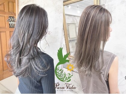 プーラヴィーダ(Pura Vida)の写真