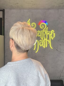 スパークスヘア(Sparks hair) メンズハイトーンだしん
